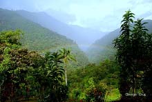 San Jorge de Tandayapa ecuador Hummingbird Sanctuary bird watching